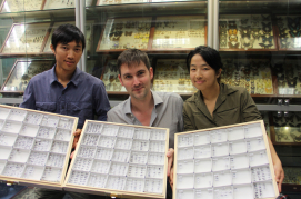 The team of HKU Insect Biodiversity and Biogeography Laboratory displaying exhibits of ant species (from the left: PhD student Mr Roger Lee, Assistant Professor Dr Benoit Guénard and Research Assistant Miss Ying Luo）.
